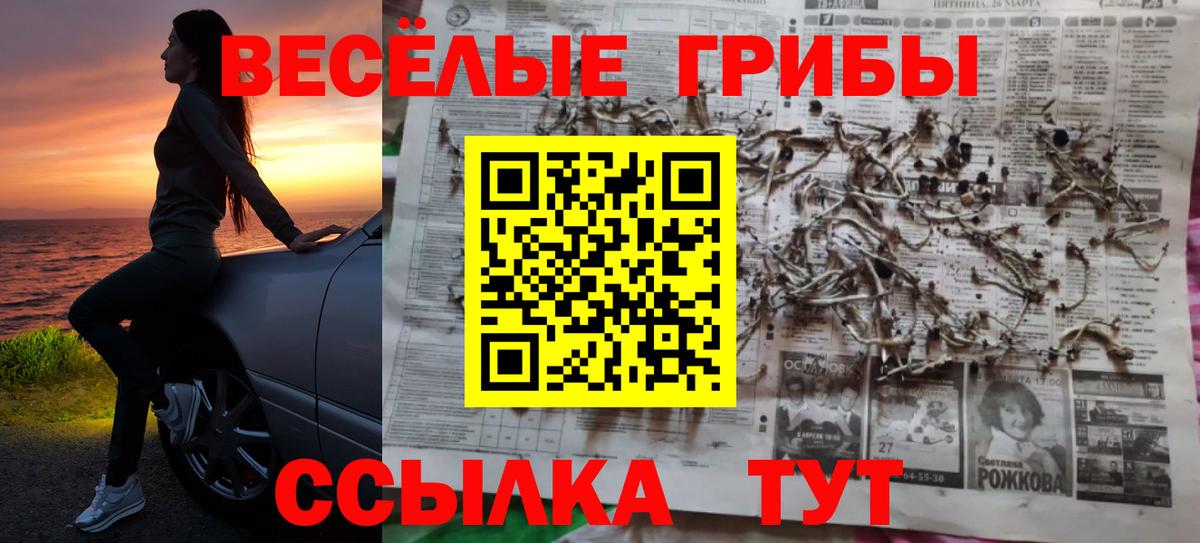 Галлюциногенные грибы прущие грибы Верхний Уфалей