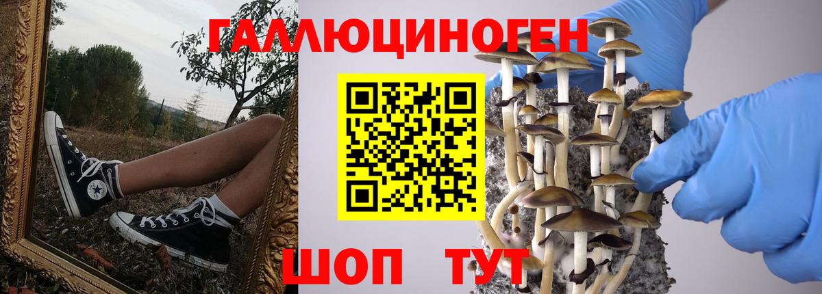 Верхний Уфалей  Псилоцибиновые грибы мицелий  Вход с VPN  Галлюциногенные грибы MAGIC MUSHROOMS 